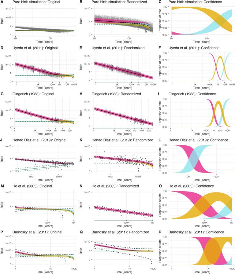 Study suggests statistical ‘noise’ affects perceived evolutionary rates