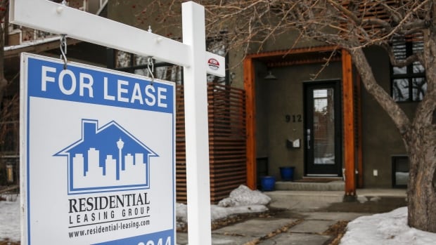 Calgary’s red-hot rental market may be cooling