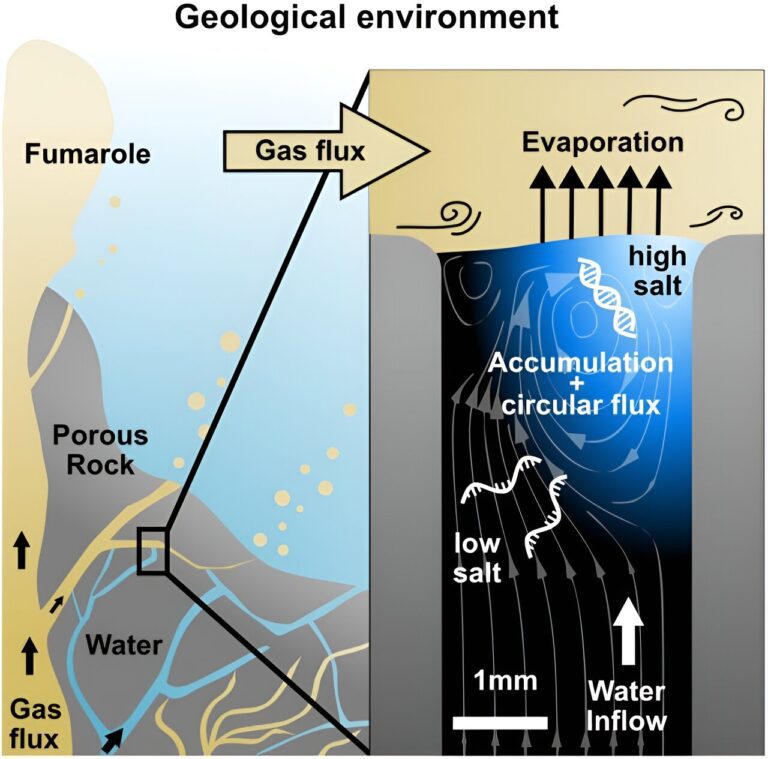 Scientists find plausible geological setting that may have sparked life on Earth