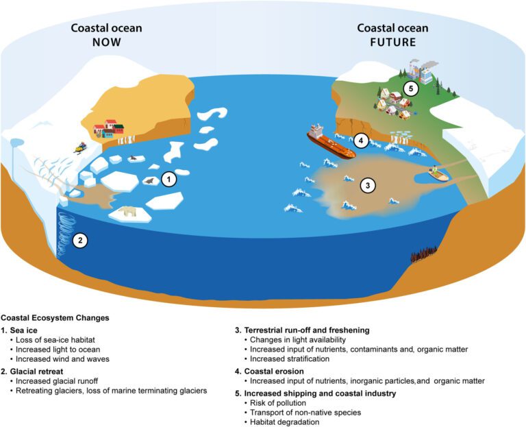 Scientists highlight overlooked threats to Arctic coasts amid climate change