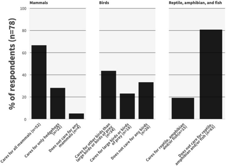 Wildlife care varies by species, Finnish study finds