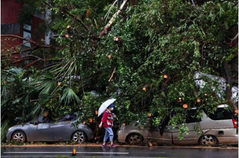 Damaged cars lie underneath fallen trees in the northeastern city of Keelung after Typhoon Kong-rey made landfall