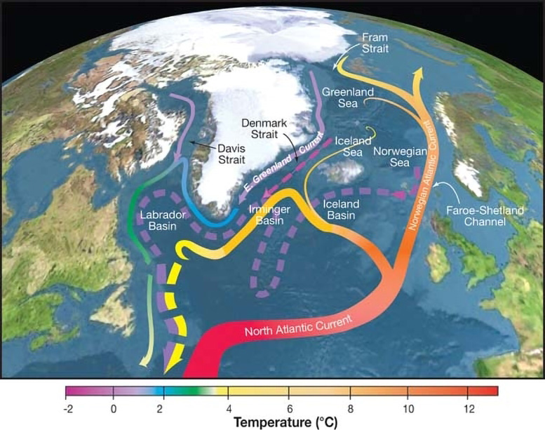 The Direction That the AMOC Carries Warm Water Graphic