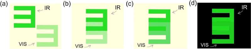 Scientists decipher two-photon vision