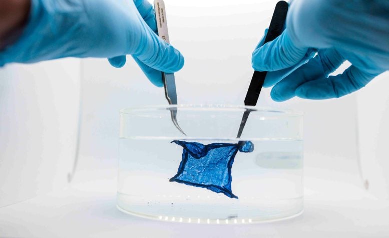 UChicago's Hydrogel Semiconductor