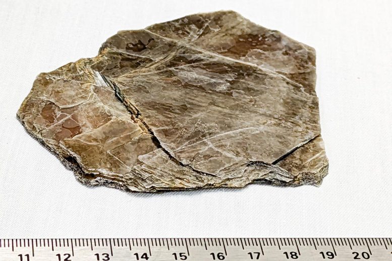 Muscovite Mica