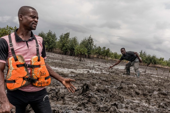 Residents in Bodo stand amid the contaminated mangroves