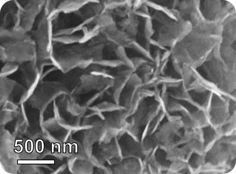 Detecting Lung Cancer Nanoflakes