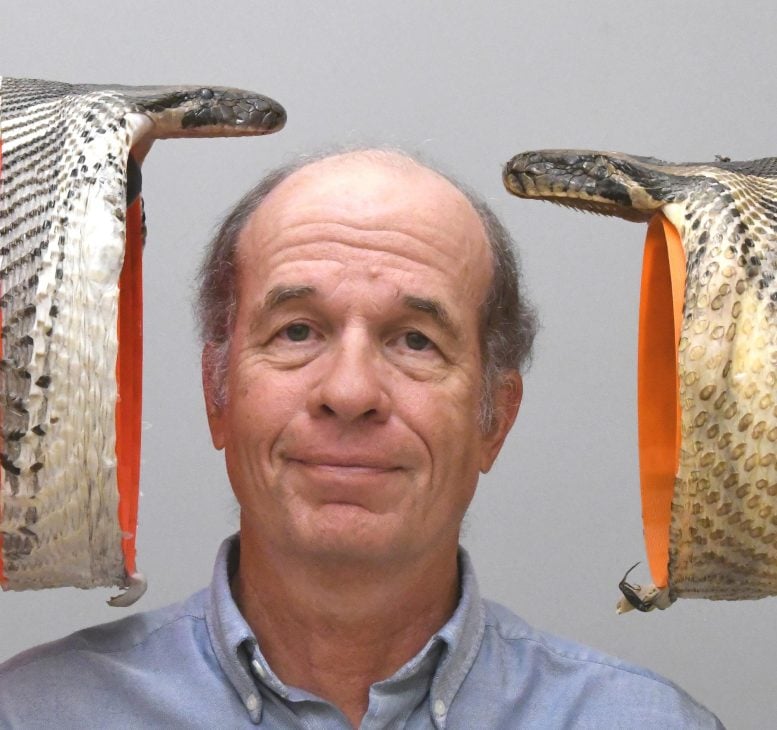 Bruce Jayne With Mounted Burmese Pythons