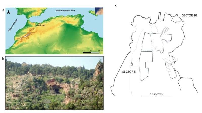 Earliest evidence of ephedra use found in 15,000-year-old Moroccan burial