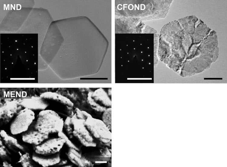 Magnetic Nanodiscs Microscopy