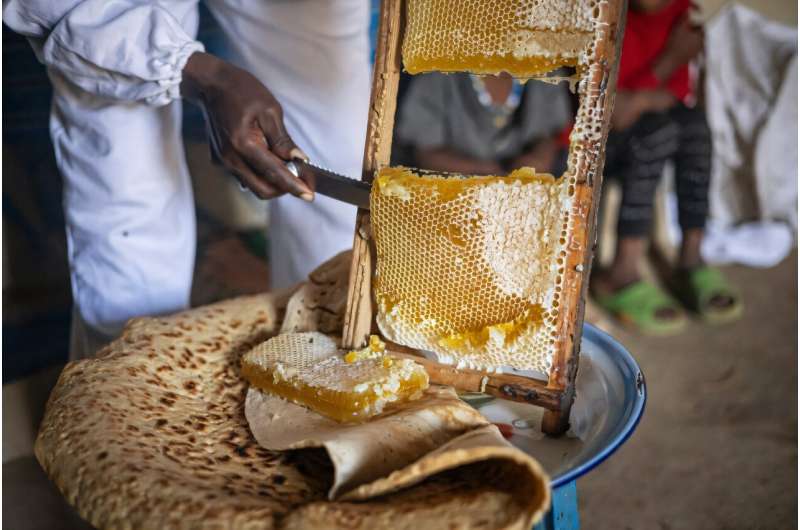 The northernmost region of Ethiopia is famous for its white honey