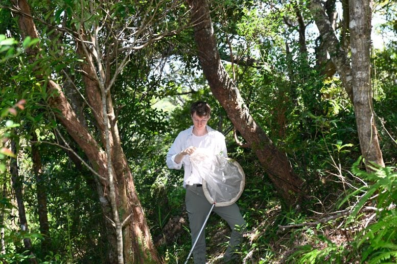 Jake Lewis Searching for Weevils