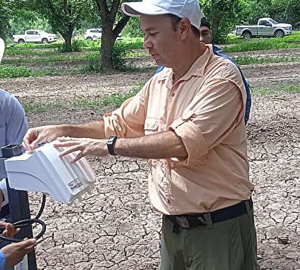 UTEP team to investigate climate change impact on pecan orchards