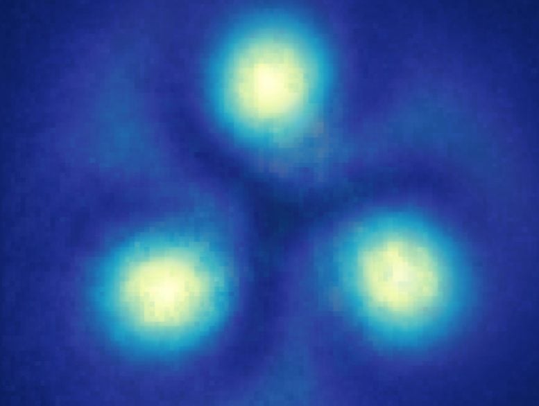 Quantum Vortices Confirm Superfluidity in Supersolid