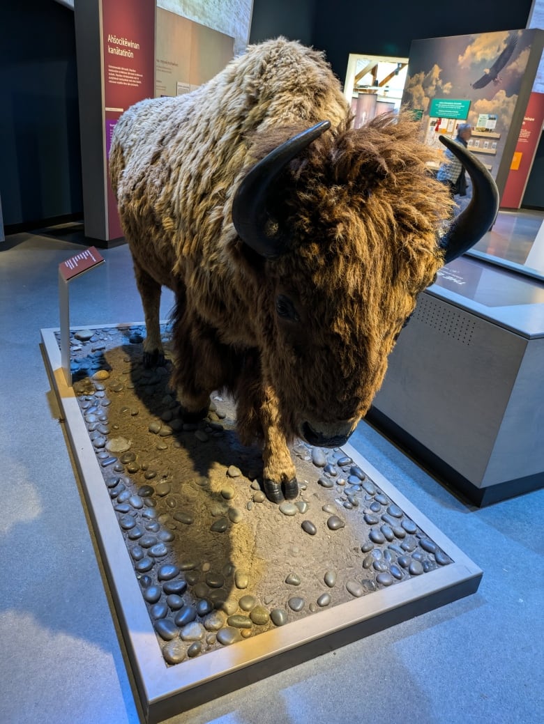 A statue of a bison can be seen.