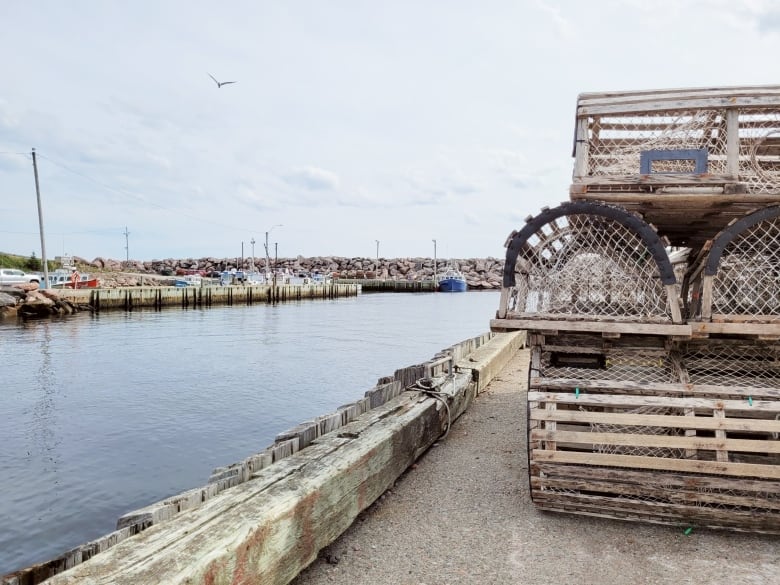 Lobster traps are pictured sitting on a wharf at Neils Harbour