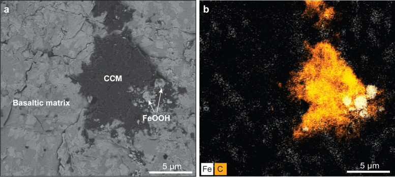 SEM Image of Abiotic Organic Matter and Goethite in Southwest Indian Ridge