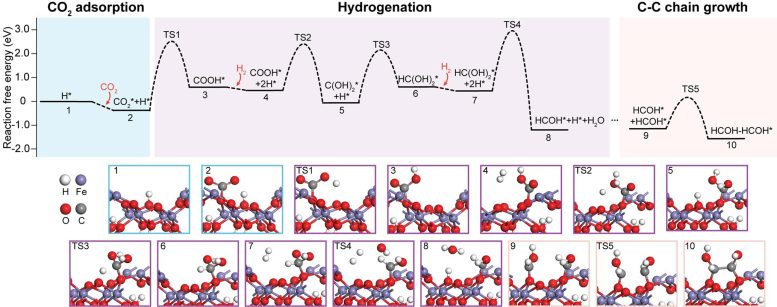 Reaction Pathways of Carbon Dioxide Hydrogenation and C-C Chain Growth on Goethite