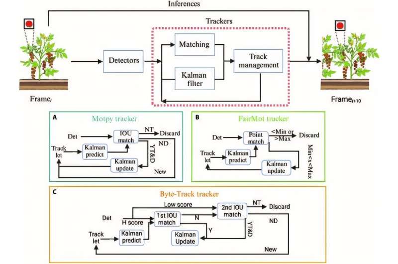 Smart surveillance system revolutionizes tomato plant monitoring with high-speed disease detection and fruit counting