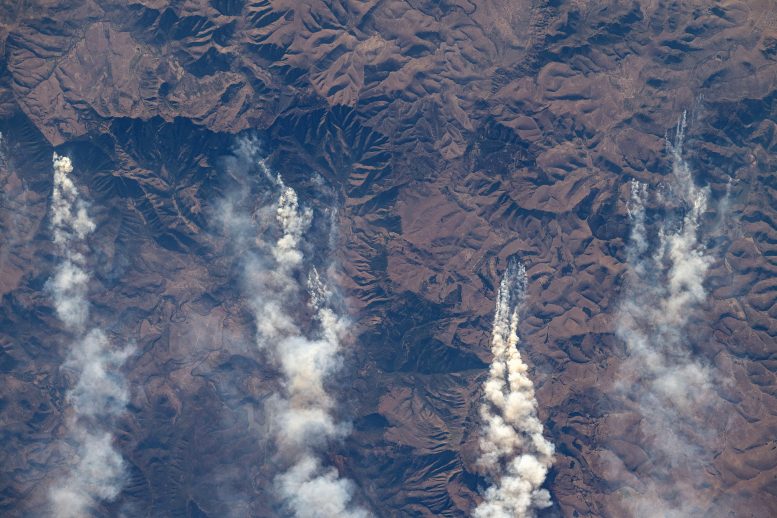 Wildfires in South Africa's Great Escarpment From ISS