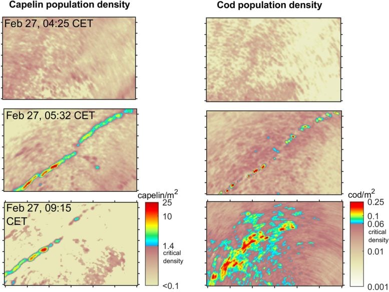 Acoustic Mapping for Tracking Fish