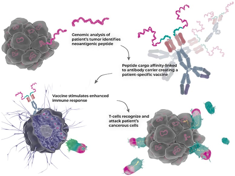 Illustration of New 3 in 1 Antibody