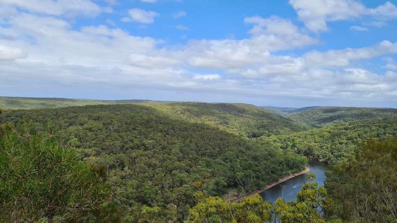 Forest Australia