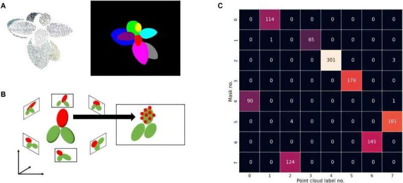 Revolutionary 3D leaf edge reconstruction method enhances plant morphology analysis