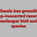 Albania has greenlit a Trump-connected resort that could endanger bird and turtle species