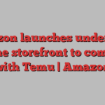 Amazon launches under-$20 online storefront to compete with Temu | Amazon