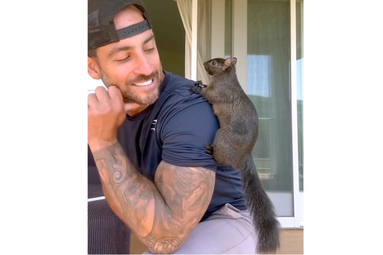 A squirrel sits on a person's shoulder.