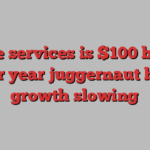 Apple services is $100 billion per year juggernaut but growth slowing