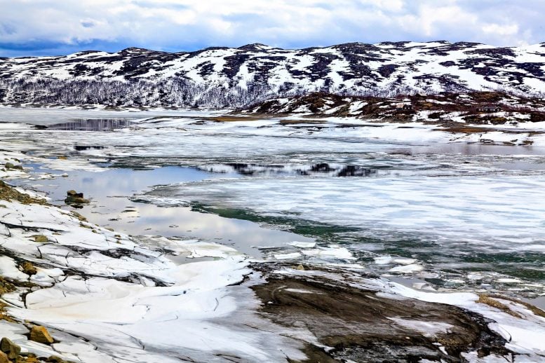 Permafrost Summer Norway