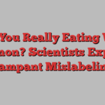 Are You Really Eating Wild Salmon? Scientists Expose Rampant Mislabeling