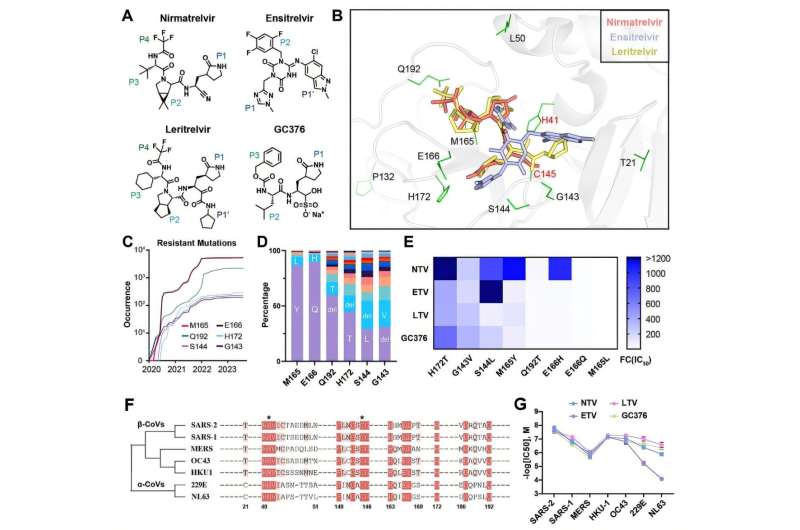 Assessing the efficacy of clinical drugs targeting SARS-CoV-2 main protease