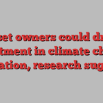 Asset owners could drive investment in climate change mitigation, research suggests