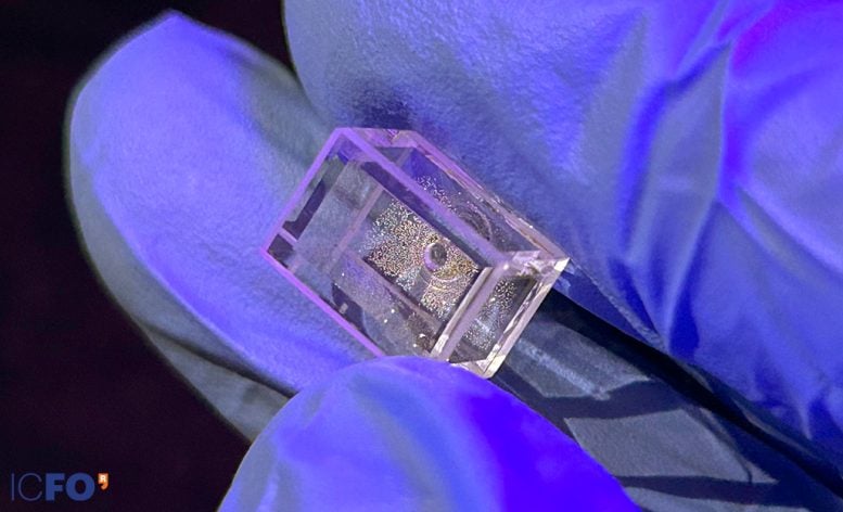 Small Cell Containing Rubidium Metal Atomic Sensor