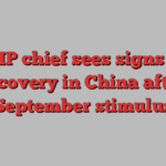 BHP chief sees signs of recovery in China after September stimulus