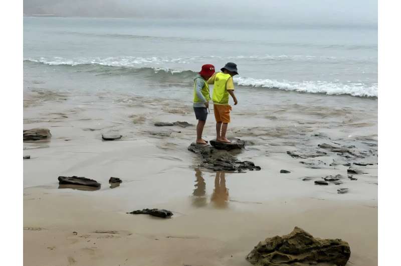 Beach kindergarten helps kids grasp early STEM concepts