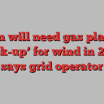 Britain will need gas plants as ‘back-up’ for wind in 2030, says grid operator