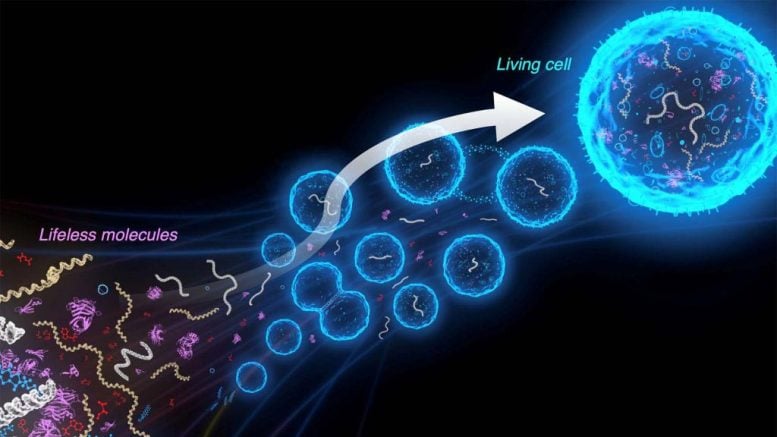 Synthetic Equivalent of Cell Graphic