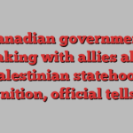 Canadian government speaking with allies about Palestinian statehood recognition, official tells MPs