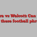 Carra vs Walcott: Can you guess these football phrases?!