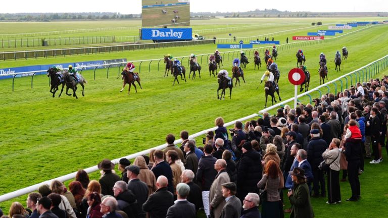 Alphonse Le Grande (yellow) crosses the line first in the Cesarewitch