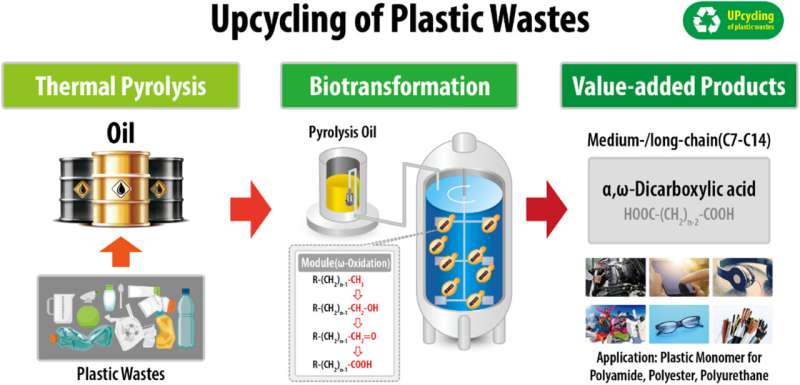 Innovative fusion process overcomes drawbacks of waste plastic pyrolysis