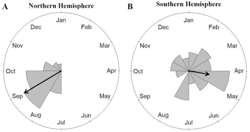 Collisions between planes and birds follow seasonal patterns and overlap with breeding and migration – new research