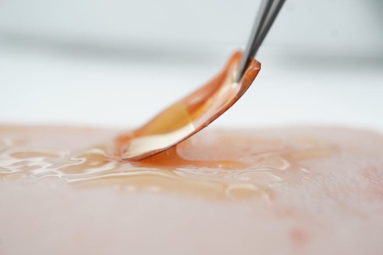 Flexible Electroceutical Patch Being Applied to Skin