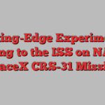 Cutting-Edge Experiments Heading to the ISS on NASA’s SpaceX CRS-31 Mission