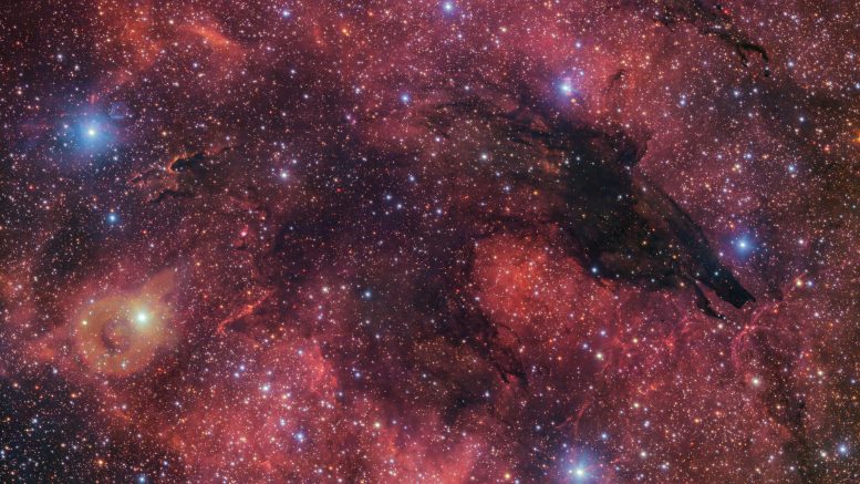 Dark Wolf Nebula Crop